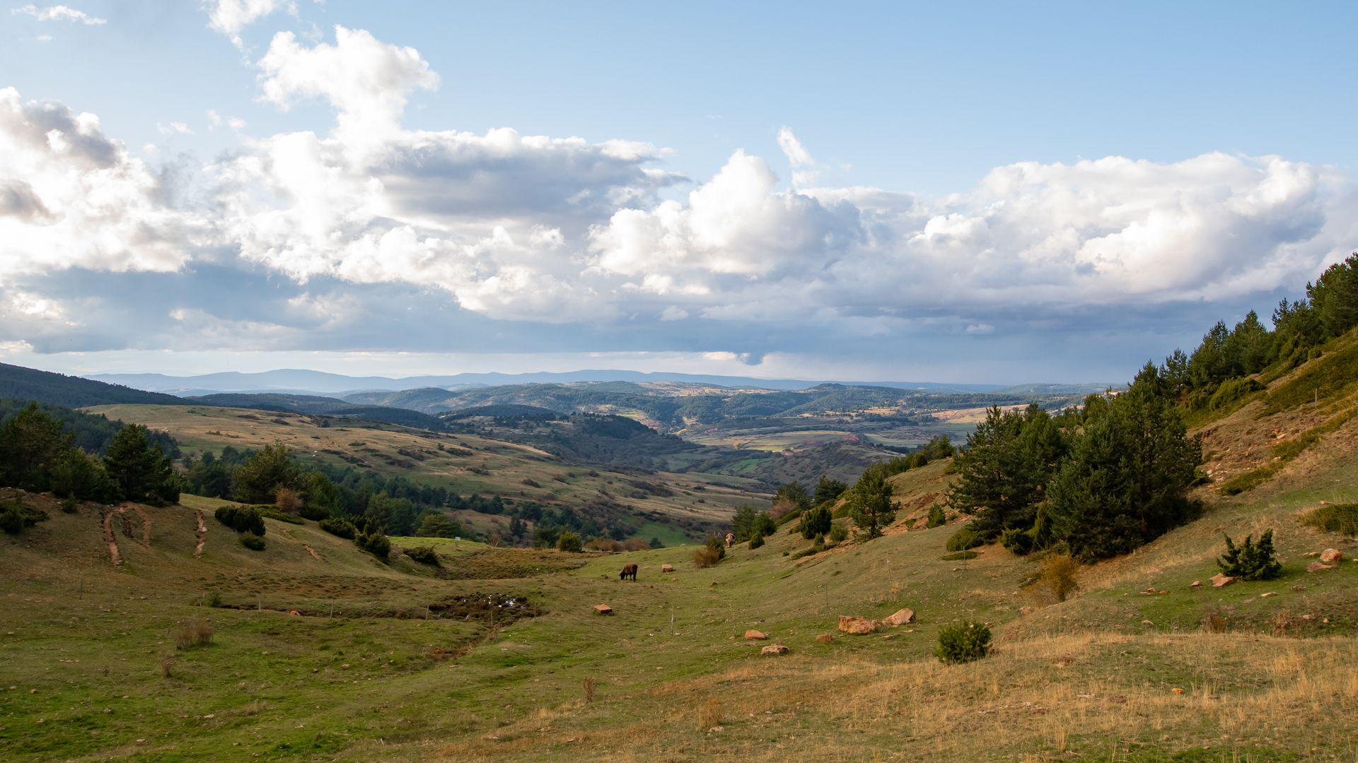 alquiler de quads en aragon - sierra