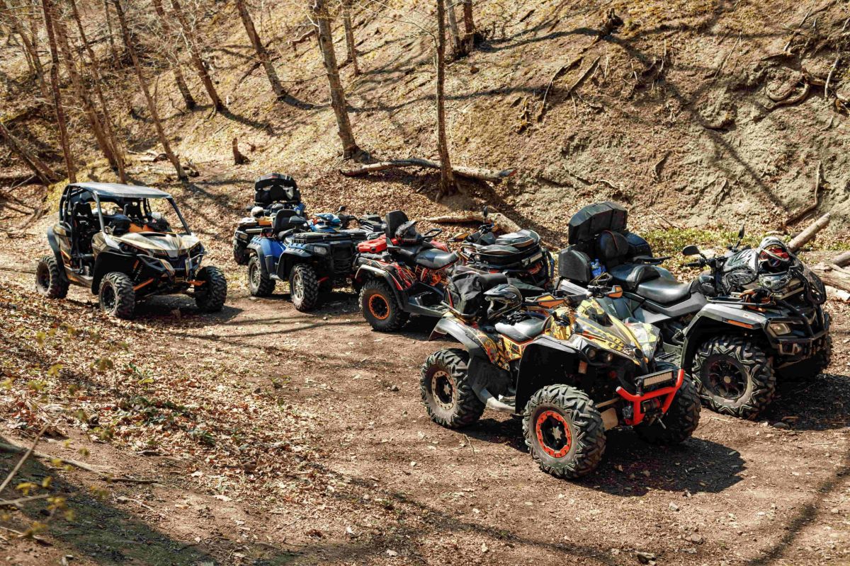 rutas con quads en gudar - disfrute